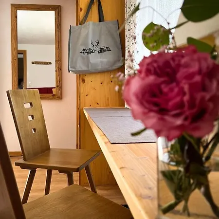 Berghof Steinbock سانكت ليونارد إم بيتزتال