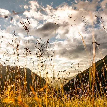 Berghof Steinbock شقة