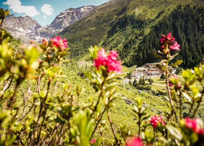 Апартаменты Berghof Steinbock *